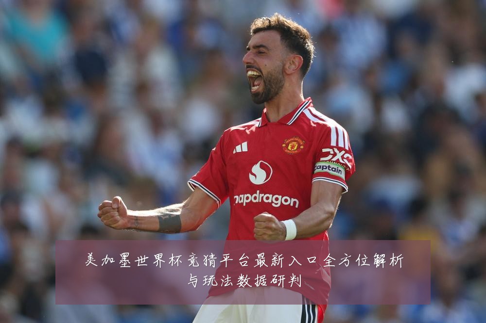 美加墨世界杯竞猜平台最新入口全方位解析与玩法数据研判